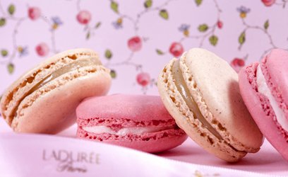 The story of Macaron